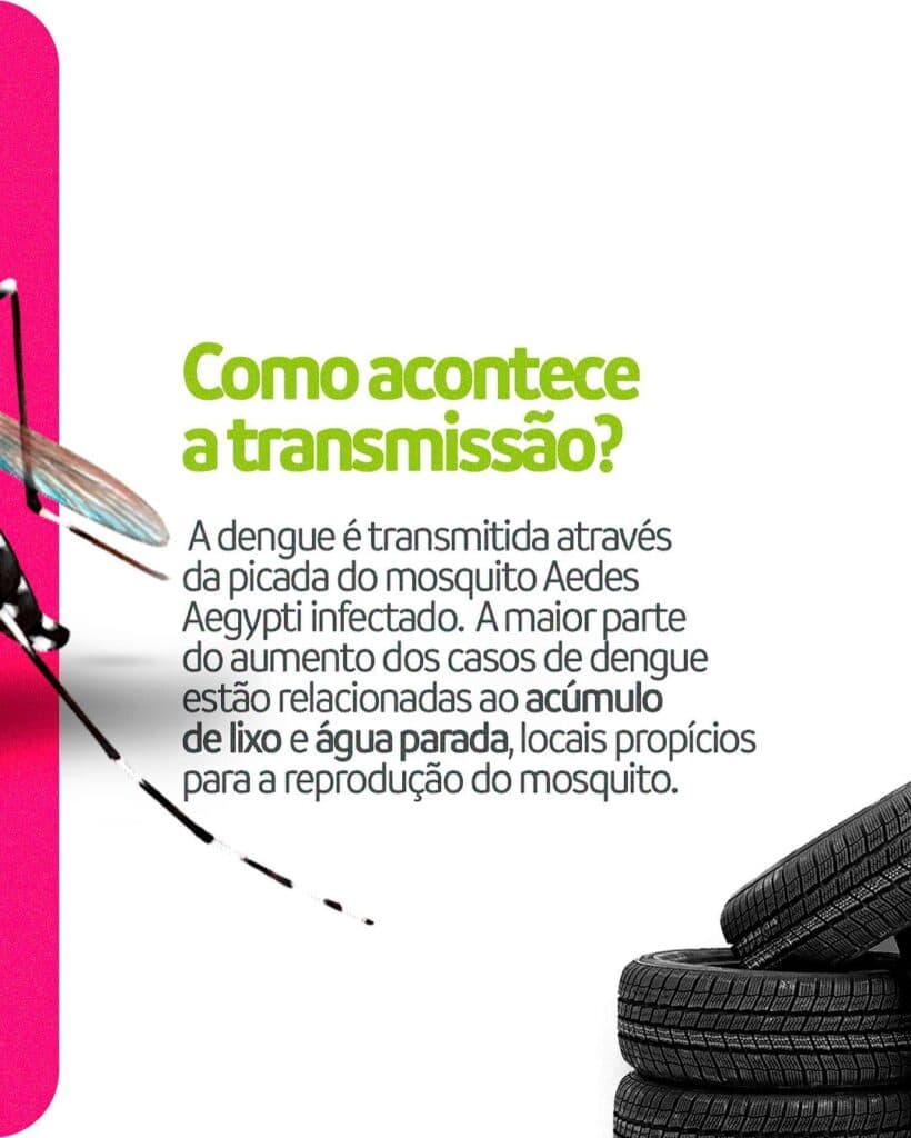 Dengue: transmissão, sintomas e tratamento